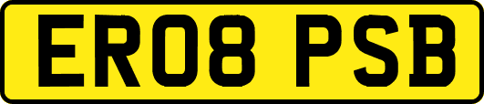 ER08PSB