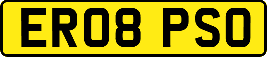 ER08PSO