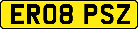 ER08PSZ