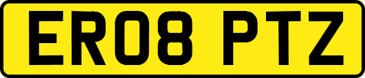 ER08PTZ