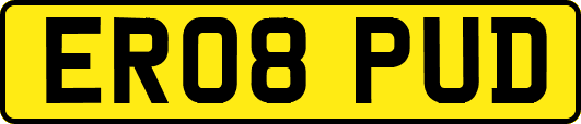 ER08PUD