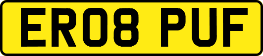 ER08PUF