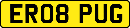 ER08PUG