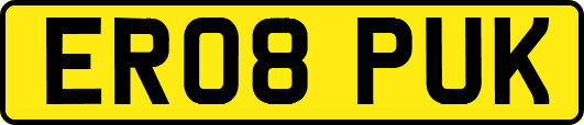ER08PUK