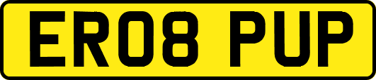 ER08PUP