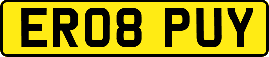 ER08PUY