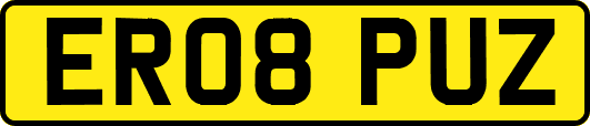 ER08PUZ