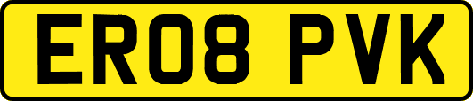 ER08PVK