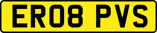 ER08PVS
