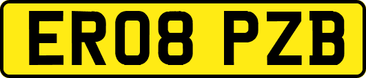 ER08PZB