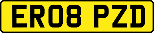 ER08PZD