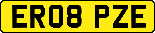 ER08PZE