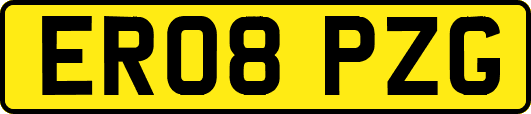 ER08PZG
