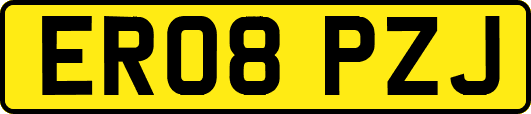ER08PZJ