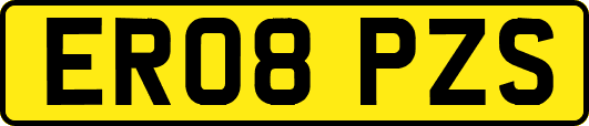 ER08PZS