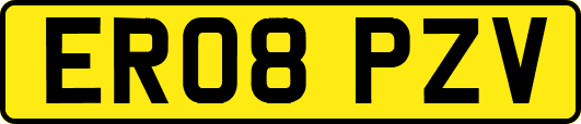 ER08PZV