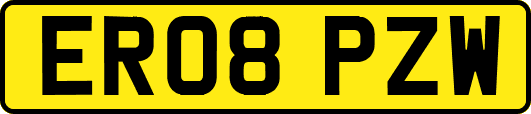 ER08PZW