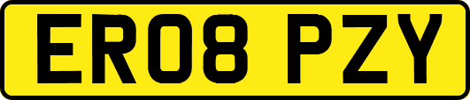 ER08PZY