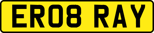 ER08RAY