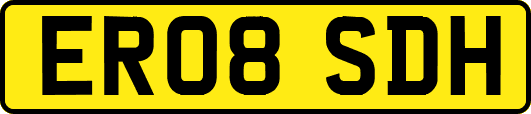 ER08SDH