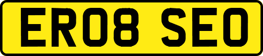 ER08SEO