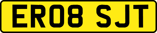 ER08SJT