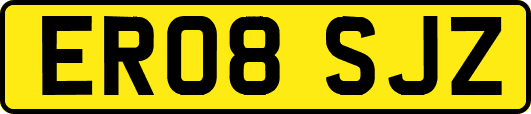 ER08SJZ