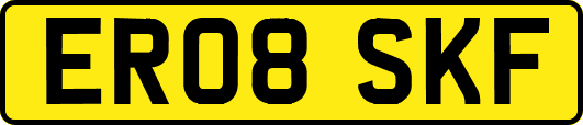 ER08SKF