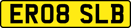 ER08SLB