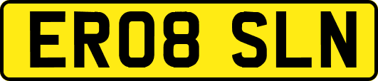 ER08SLN