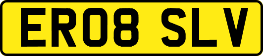 ER08SLV