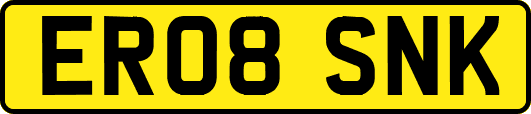 ER08SNK