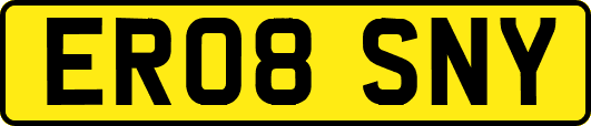 ER08SNY