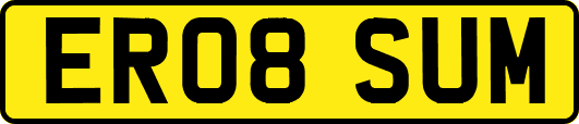 ER08SUM
