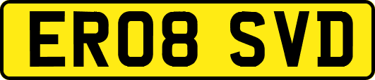 ER08SVD