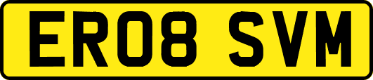 ER08SVM
