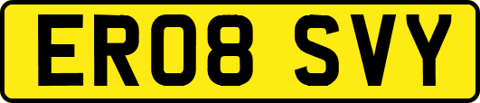 ER08SVY