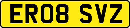 ER08SVZ