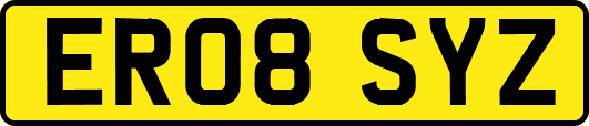 ER08SYZ