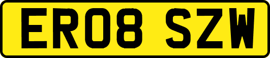 ER08SZW