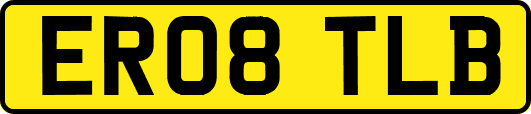 ER08TLB