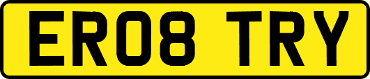 ER08TRY