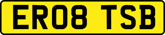 ER08TSB