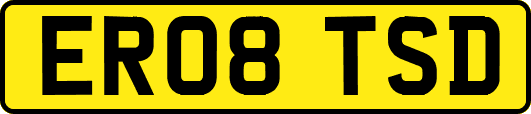 ER08TSD
