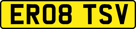 ER08TSV