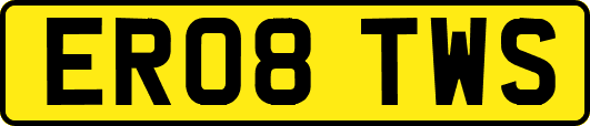 ER08TWS