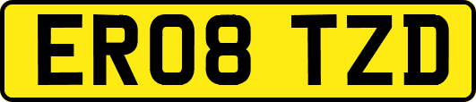 ER08TZD