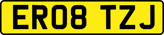 ER08TZJ