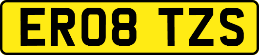ER08TZS