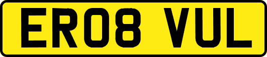 ER08VUL